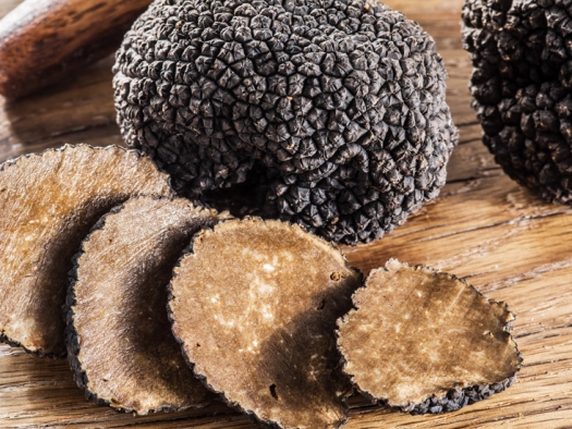 La truffe bourguignonne 