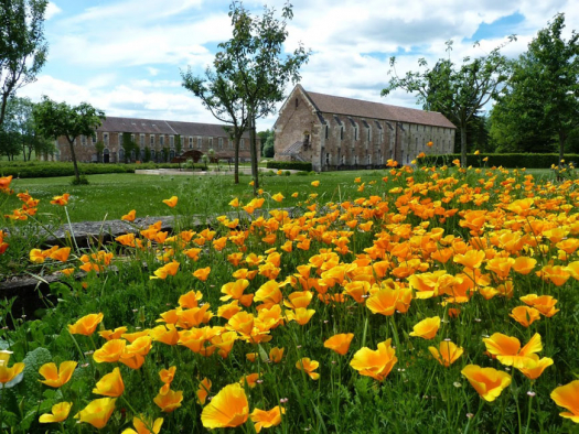 Abbaye de Cîteaux