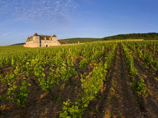 Clos de Vougeot